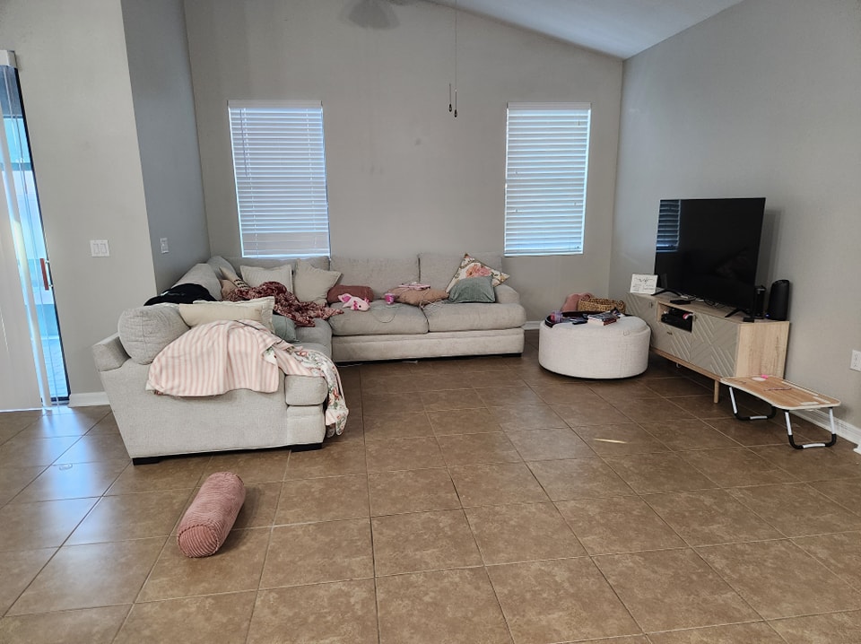 Living Room Cleaning Before and After - Before